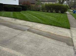 Linda B.'s Lawn Mowing service result