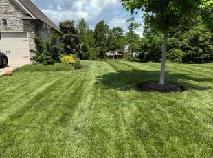 Greg G.'s Lawn Mowing service result