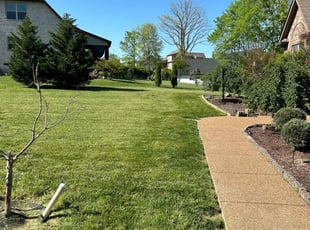 Justin S.'s Lawn Service service result