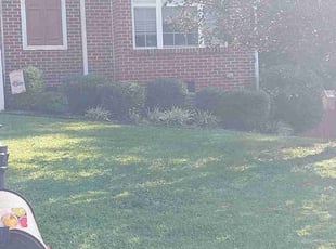 Bush Trimming by Timothy Pannell for Wesley A. in High Point, NC