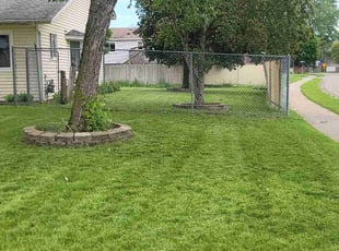 Misha M.'s Lawn Care service result