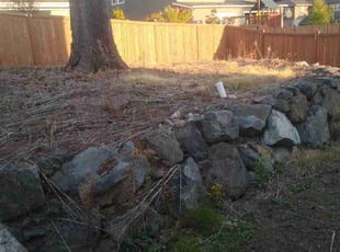 Weeding by Dana Knickerbocker for Abhiram K. in Bothell, WA