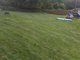 Sam M.'s Lawn Maintenance service result