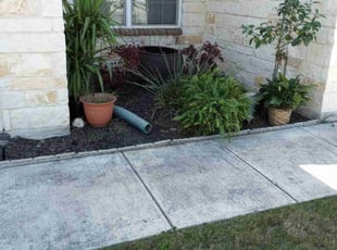 Weeding by Vincent Vasquez for Randi R. in San Antonio, TX