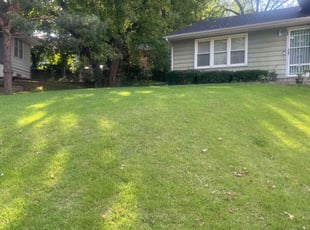 Mary I.'s Lawn Care service result