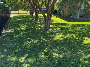 William H.'s Yard Cutting service result