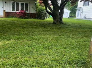Timothy H.'s Grass Cutting service result