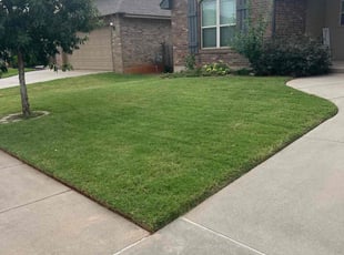 Tushar K.'s Lawn Care service result