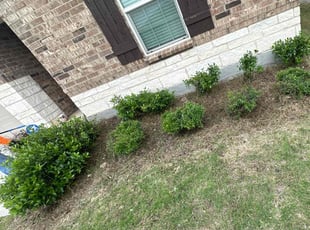 Weeding by Alfredo Cisneros for Caleb M. in Aubrey, TX