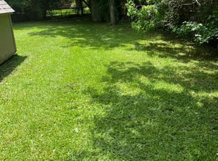 Lisa H.'s Lawn Mowing service result