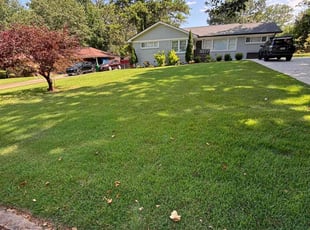 Lois A.'s Lawn Service service result