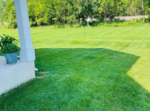 Robert L.'s Lawn Mowing Service service result
