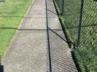 David R.'s Lawn Mowing service result