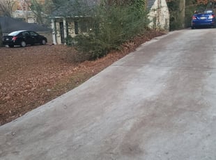 Leaf Removal by Isaiah Harris for Priscilla P. in Atlanta, GA