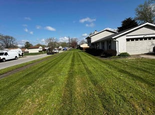 Jaime D.'s Lawn Maintenance service result