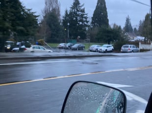 Bush Trimming by Ameet Giri for Marc S. in Seattle, WA