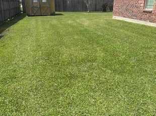 Byron G.'s Lawn Care service result