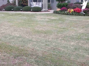Derek P.'s Lawn Service service result