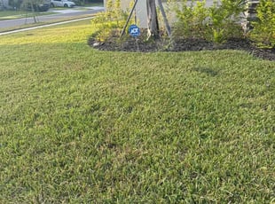 Susan C.'s Lawn Maintenance service result