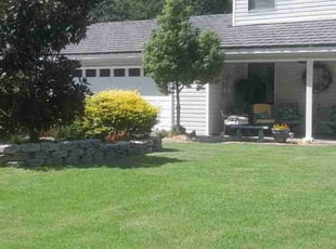 Carl s.'s Yard Cutting service result