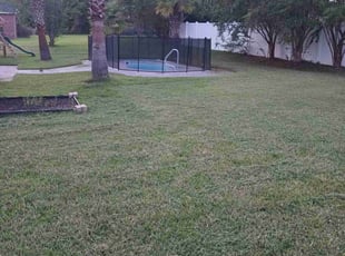 Patty C.'s Lawn Service service result