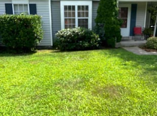Evan F.'s Bush Trimming service result