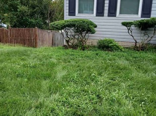 Melissa S.'s Bush Trimming service result