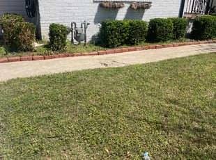 Bush Trimming by Brandon Crutchfield for Jenn N. in Tulsa, OK