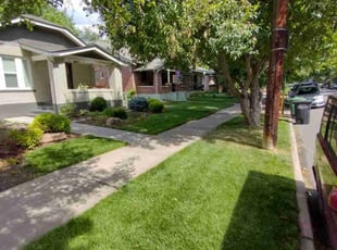Linda C.'s Lawn Care service result