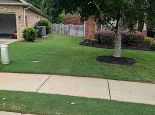Terry T.'s Lawn Service service result