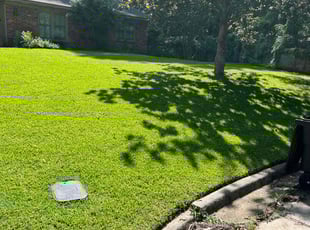 Sabiya A.'s Lawn Mowing service result