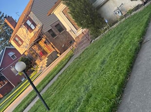 Ben W.'s Grass Cutting service result