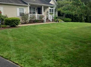 Stan M.'s Grass Cutting service result