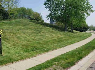 Barbara A.'s Lawn Mowing service result