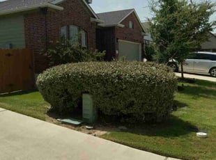 Bush Trimming by Geovanni Vargas for Allison H. in Austin, TX