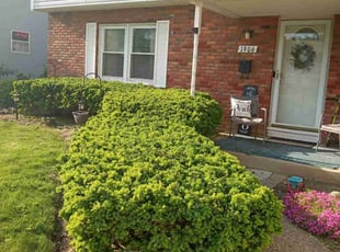 Bush Trimming by Elisha Nelson for Valerie C. in Columbus, OH