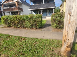 Bush Trimming by Tyler Stewart for Dana W. in Cleveland, OH