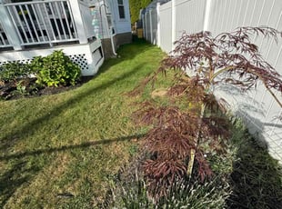 Abe R.'s Yard Cutting service result