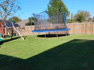 Lenora W.'s Lawn Mowing service result