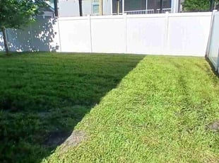 Kala L.'s Lawn Service service result