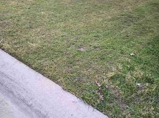 Cleanups by Joshua Daley for Adrian H. in Royse City, TX