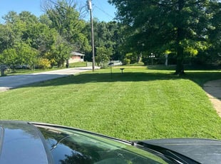 Roosevelt g.'s Lawn Mowing service result
