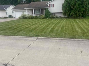 David D.'s Lawn Care service result