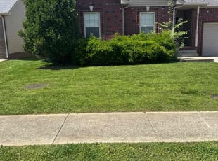 Jasmine L.'s Yard Cutting service result