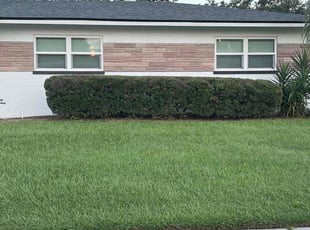Felix M.'s Lawn Maintenance service result