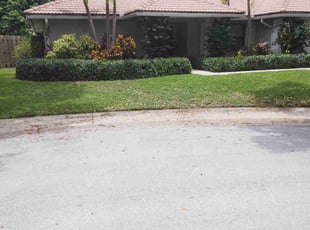Paul M.'s Lawn Mowing Service service result