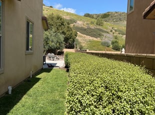 Bush Trimming by Keith Dalke for Jill P. in Chula Vista, CA