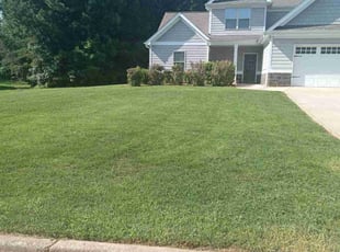 Rikki L.'s Lawn Mowing service result