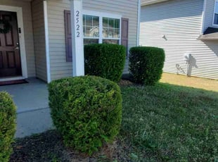 Bush Trimming by James Ziobro for Charisee F. in Holly Springs, NC