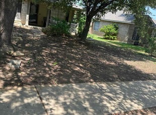 Leaf Removal by Tony Moreno for Andrea B. in Round Rock, TX